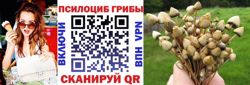 Псилоцибиновые грибы MAGIC MUSHROOMS  купить наркотик  Озёрск 